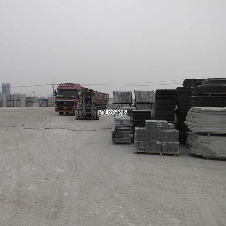 DSCI0379.JPG